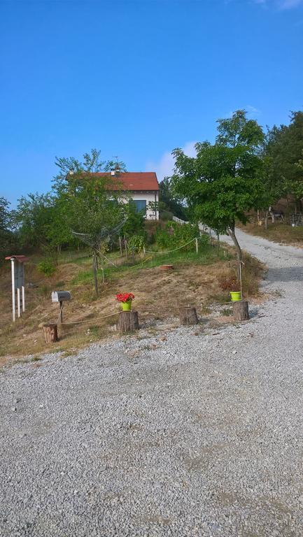 Micro-Cottage In Pietra La Ratatouille Dego Kültér fotó